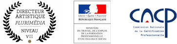 Titre de Directeur Artistique Plurimedia enregistré au Niveau I (BAC+5) au RNCP